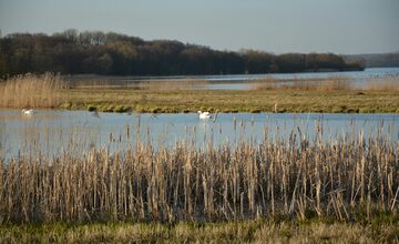 pexels-jakobandersson-32724147